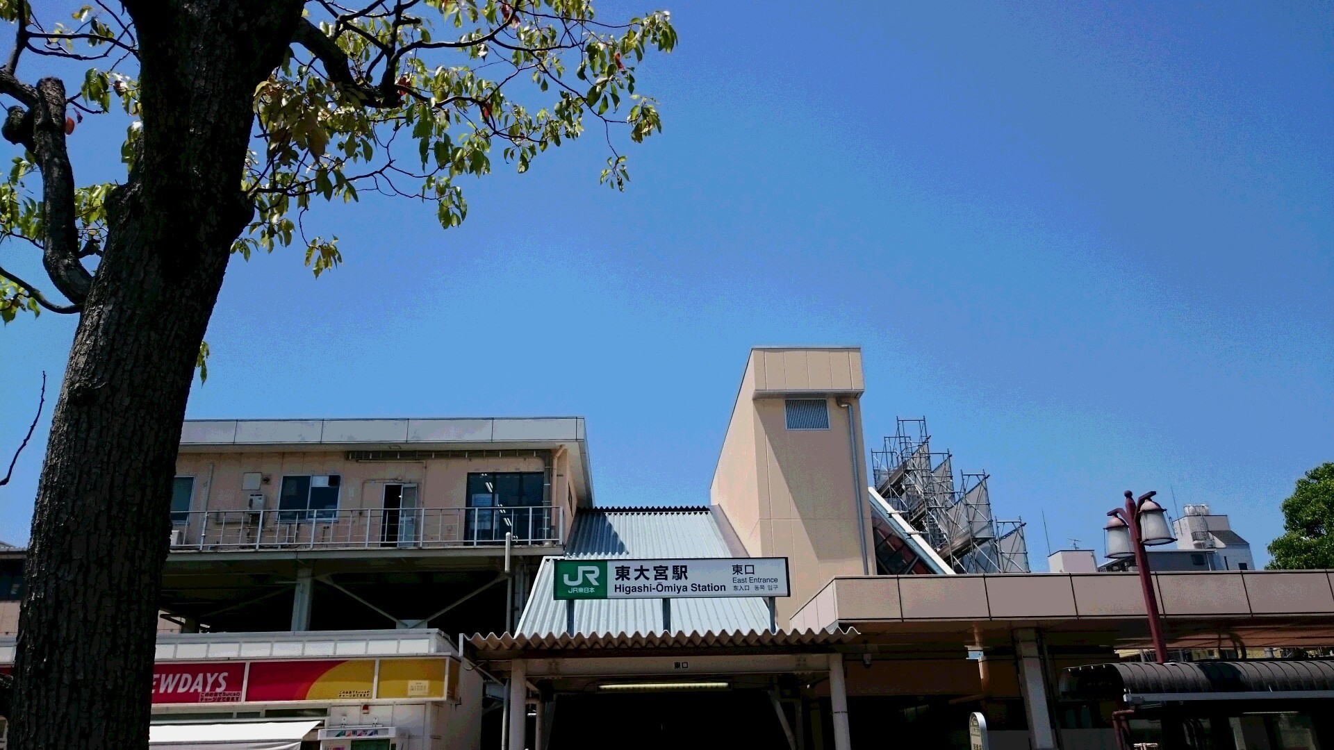 緑のヘルシーロード 荒川河川敷ロード 東大宮から浅草へ